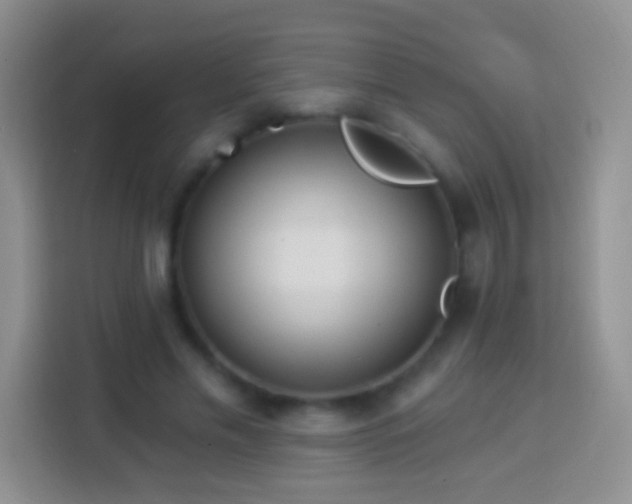 X0000113880589200910011134