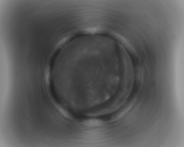 X0000113880590200910011134