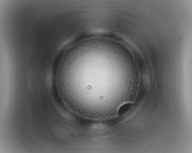 X0000113880591200910011134