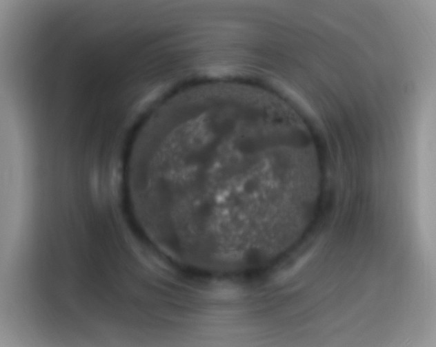 X0000113880592200910011134