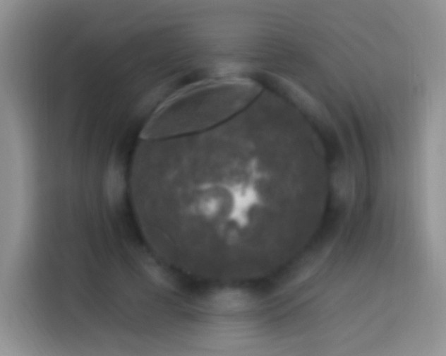 X0000113880593200910011134