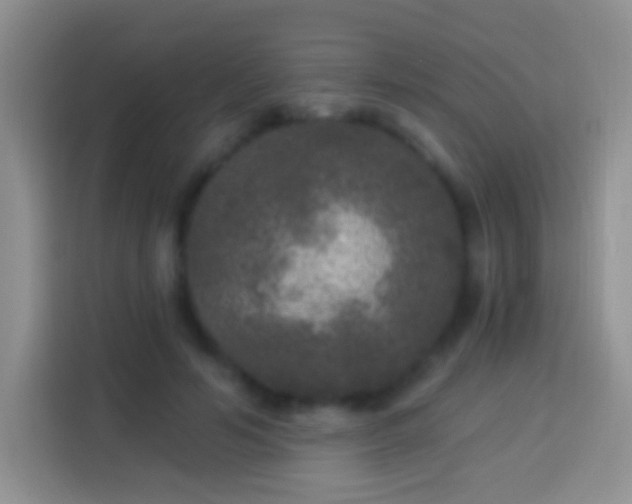 X0000113880594200910011134