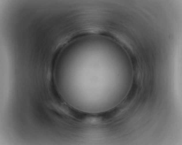 X0000113880595200910011134