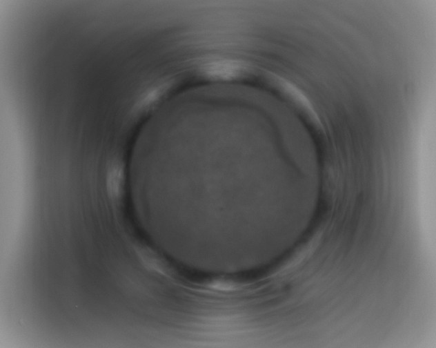 X0000113880596200910011134