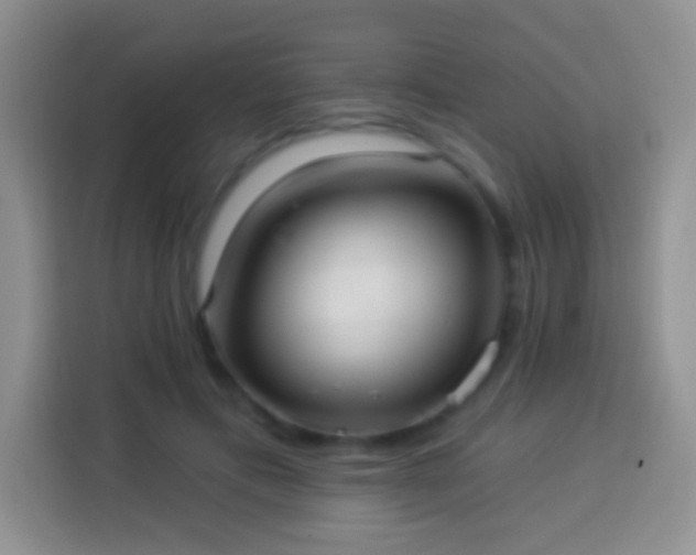 X0000113880597200910011134