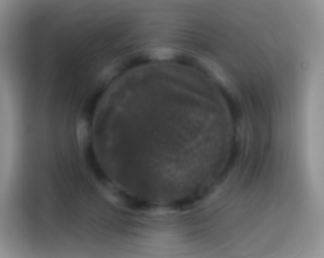 X0000113880598200910011134