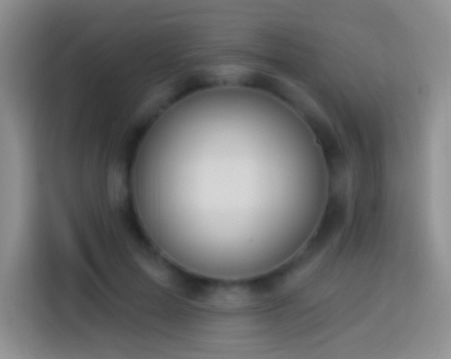 X0000113880599200910011134