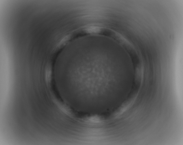 X0000113880600200910011134