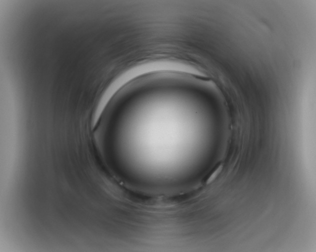 X0000113880601200910011134