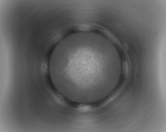 X0000113880602200910011134