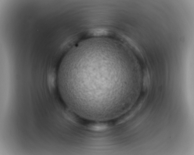 X0000113880604200910011134