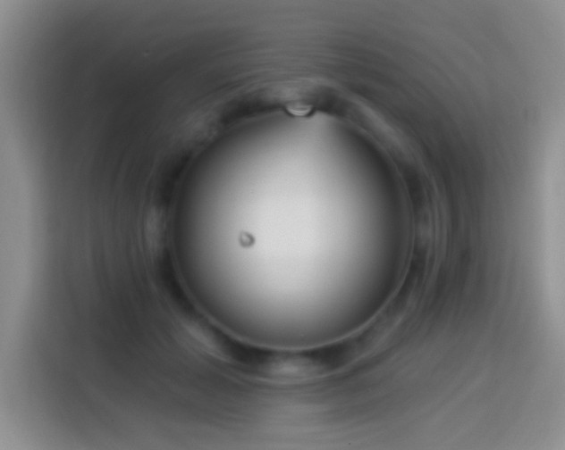 X0000113880605200910011134