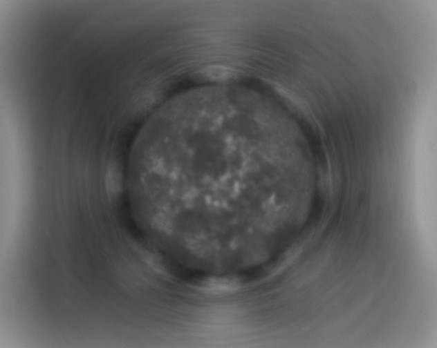 X0000113880606200910011134