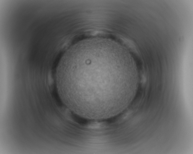 X0000113880607200910011134