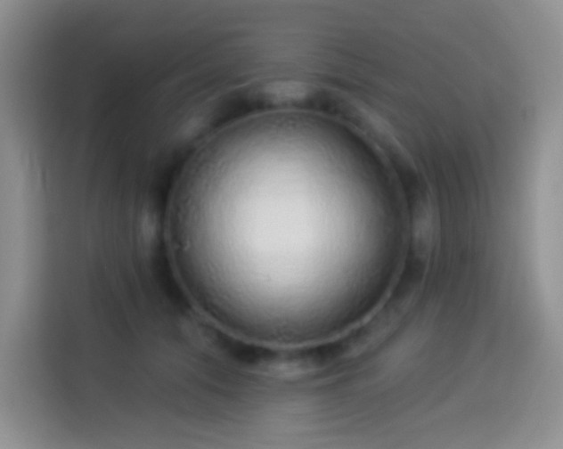 X0000113880608200910011134