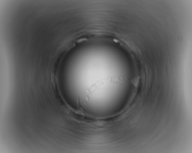 X0000113880609200910011134