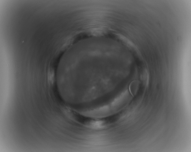 X0000113880610200910011134