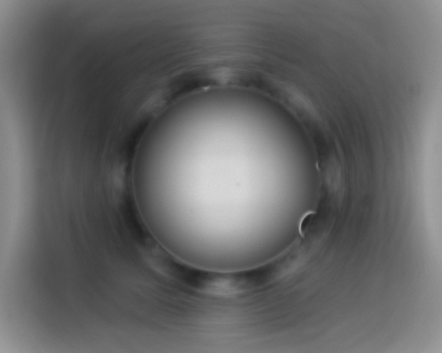 X0000113880611200910011134