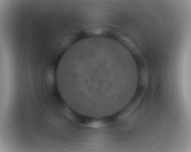 X0000113880612200910011134