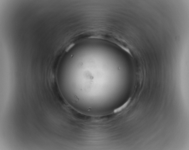 X0000113880613200910011134