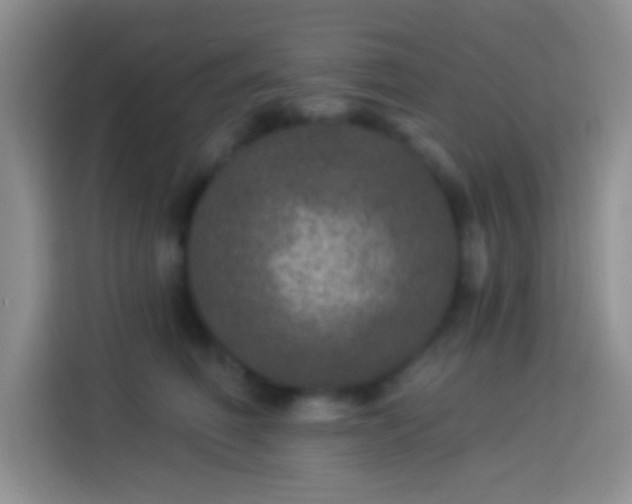 X0000113880614200910011134