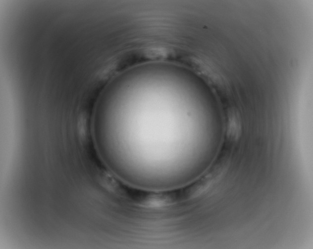 X0000113880616200910011134