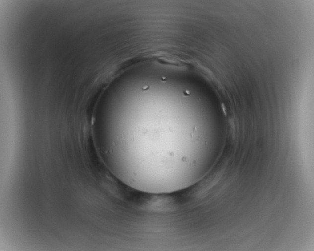 X0000113880617200910011134