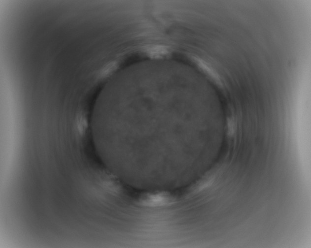 X0000113880618200910011134