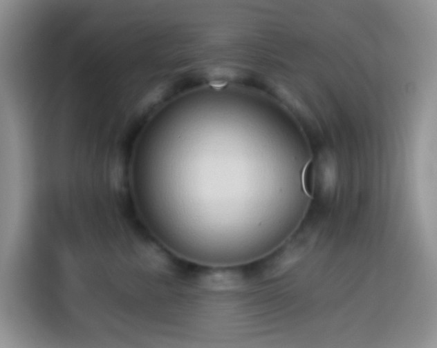 X0000113880619200910011134