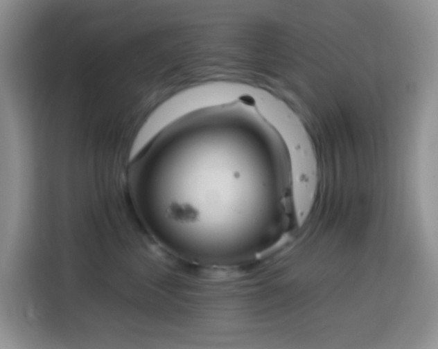 X0000113880621200910011134