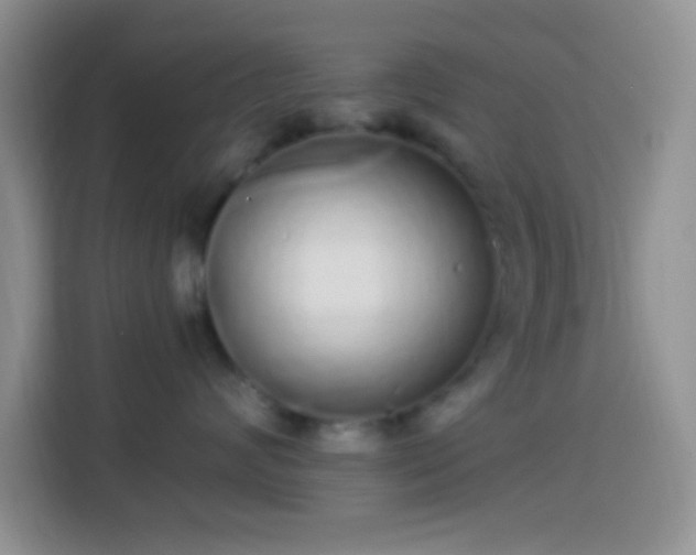 X0000113880624200910011133