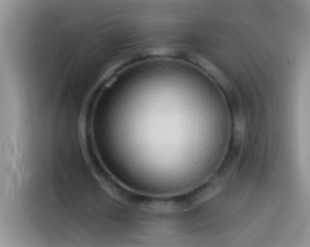 X0000113880626200910011133