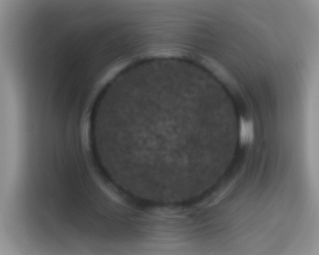 X0000113880627200910011133