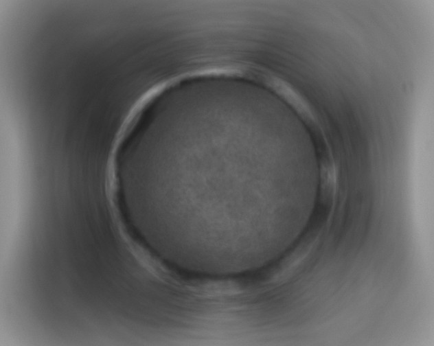 X0000113880628200910011133