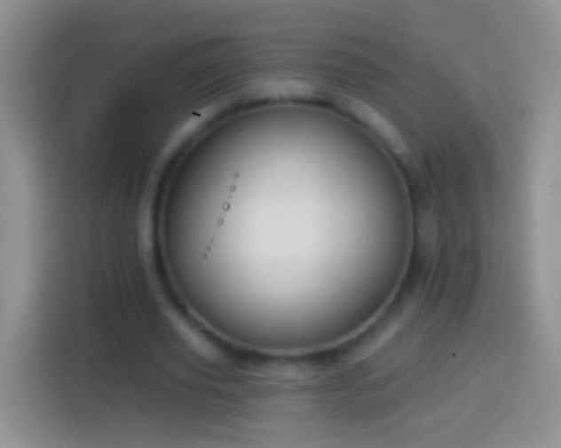 X0000113880629200910011133