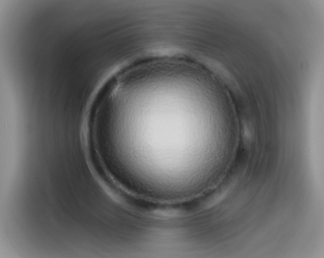 X0000113880630200910011133