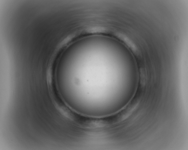 X0000113880631200910011133