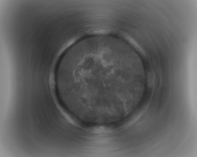 X0000113880634200910011133