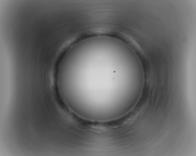 X0000113880635200910011133