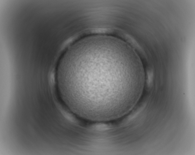 X0000113880636200910011133