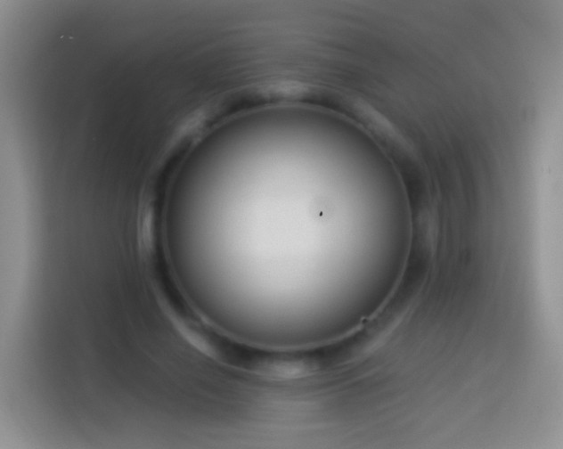 X0000113880638200910011133