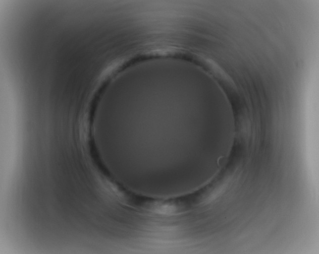 X0000113880640200910011133