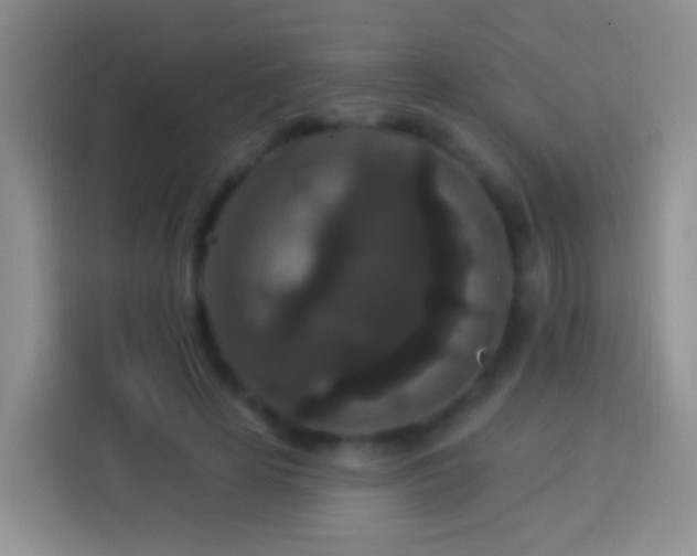 X0000113880641200910011133