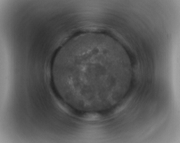 X0000113880642200910011133