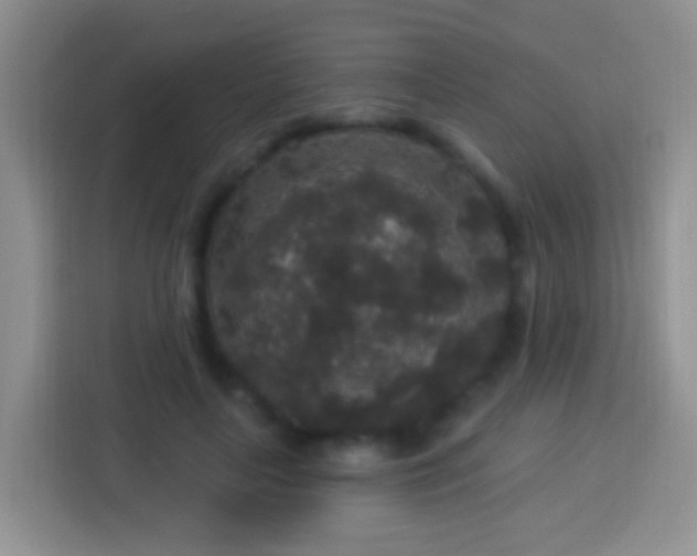 X0000113880643200910011133