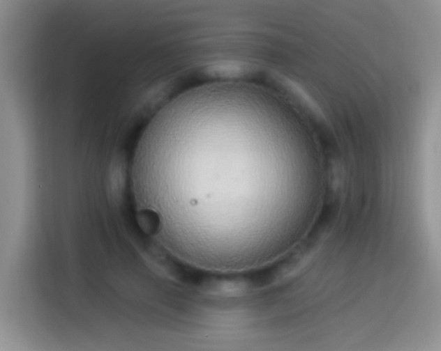 X0000113880645200910011133