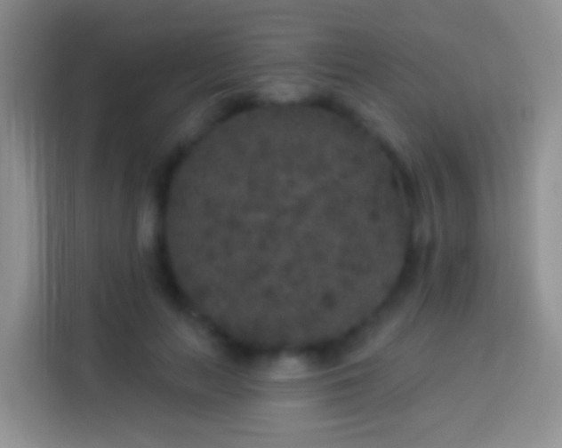 X0000113880647200910011133