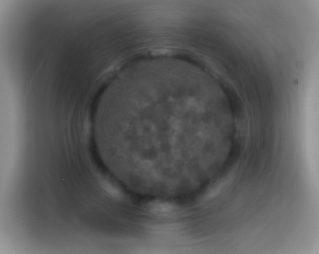 X0000113880648200910011133