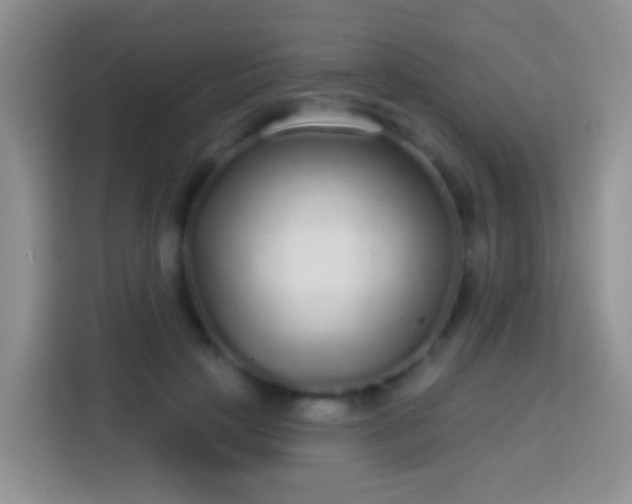 X0000113880649200910011133