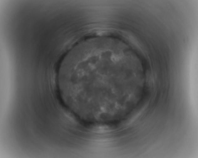 X0000113880650200910011133